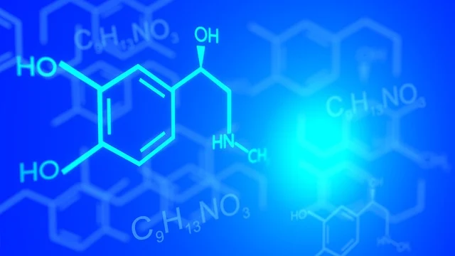 用于制備高流動(dòng)性、快速固化聚氨酯硬泡的特種三(二甲氨基丙基)胺 CAS 33329-35-0